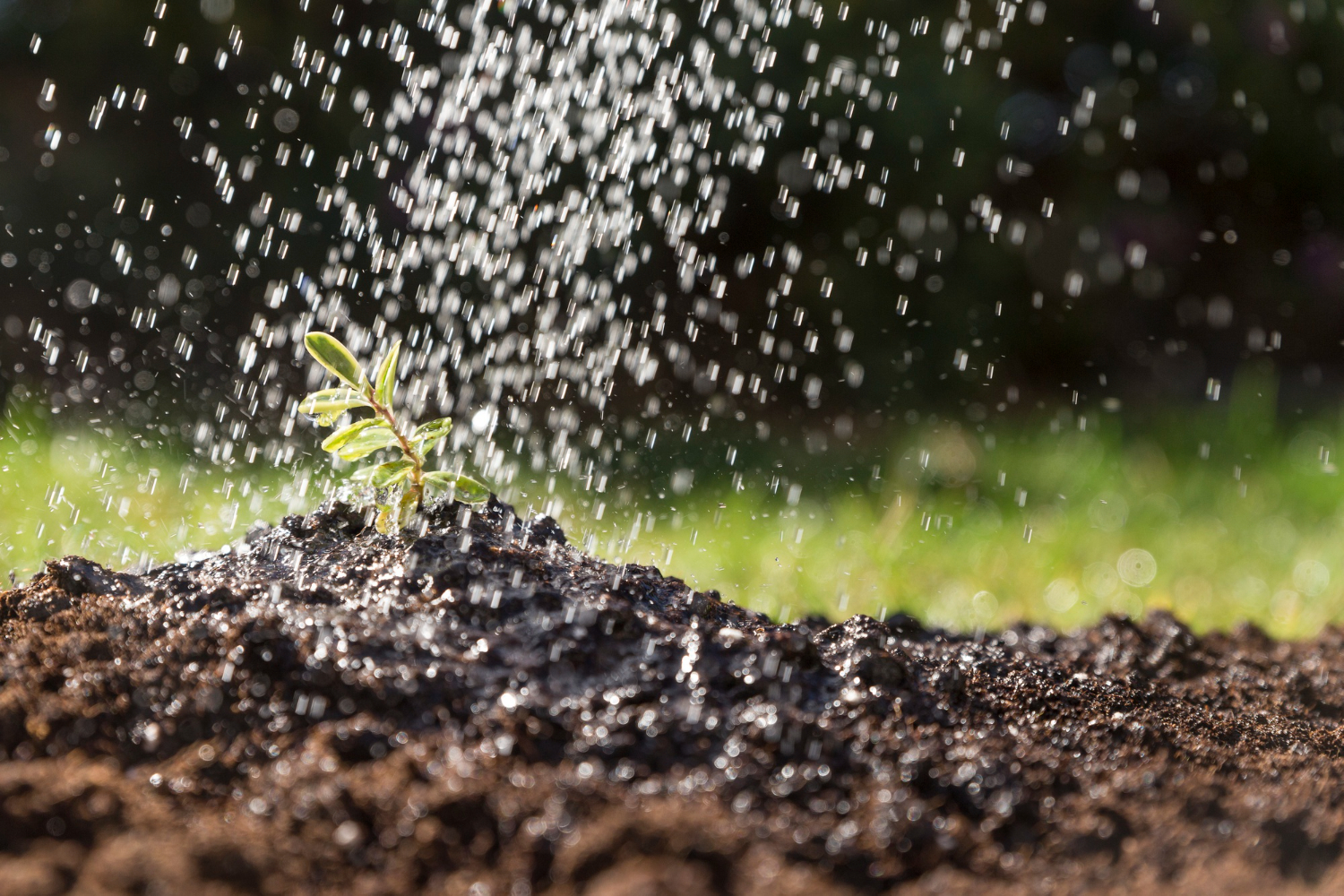 In-ground sprinkler system