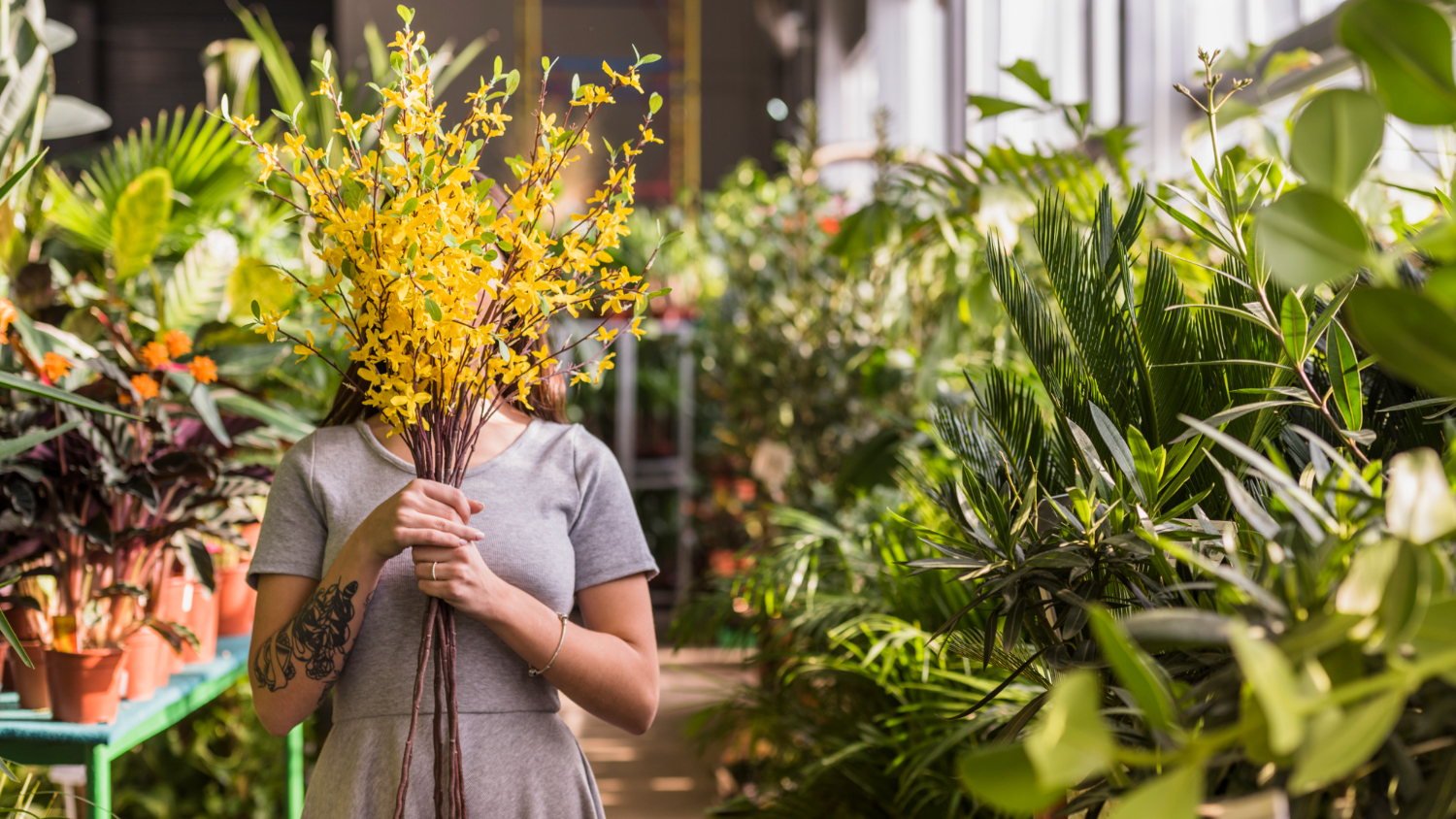 Person holding yellow flowers