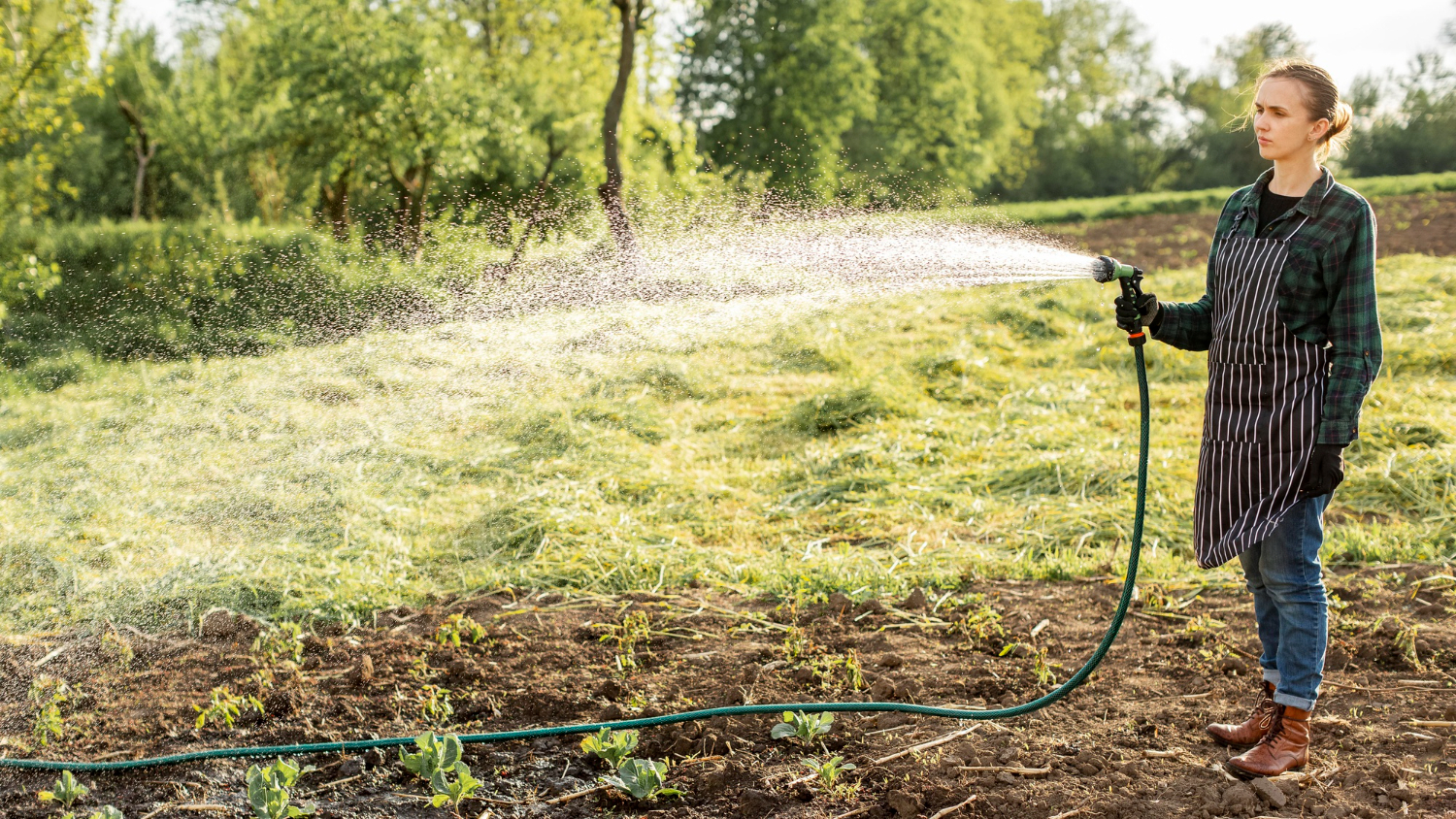 Woman watering lawn