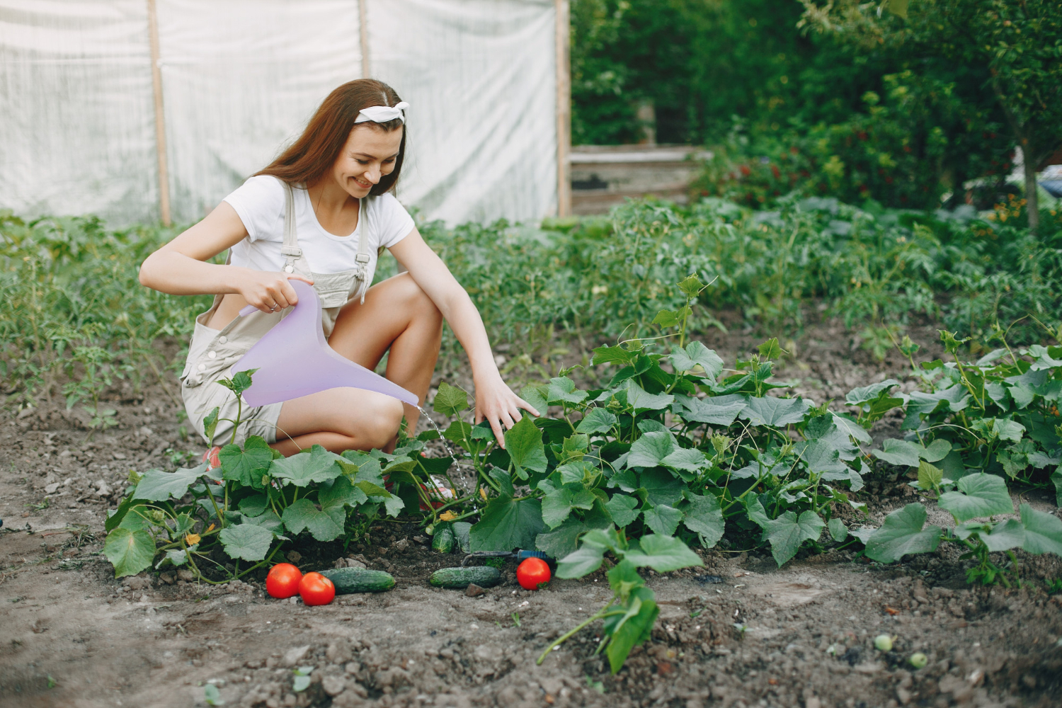 Woman watering garden plants