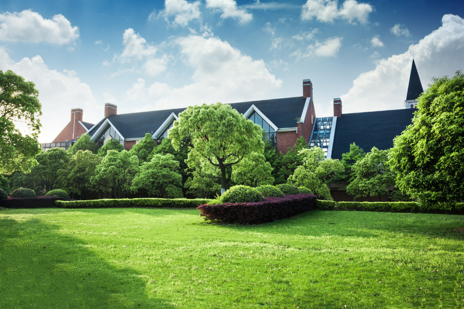 Green campus with modern building