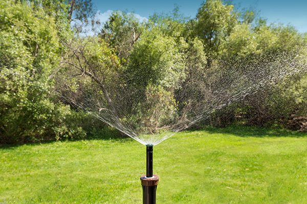 Sprinkler spraying water