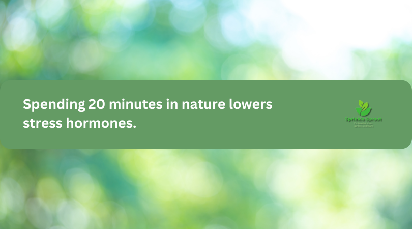 spending 20 minutes in nature lowers stress hormones
