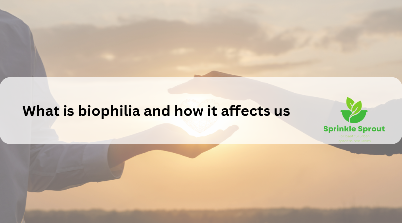 biophilia - the impact of nature on our health
